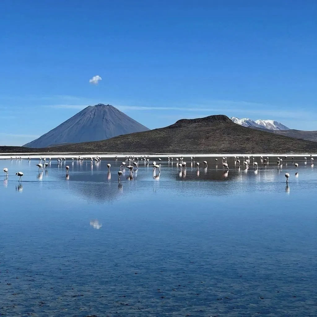Laguna de Salinas