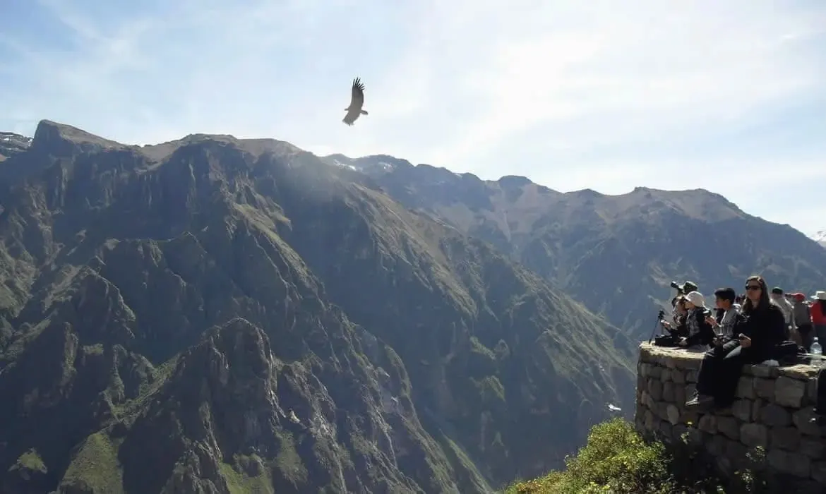 Colca 3 días / 2 noches + Puno (guía hasta Colca)