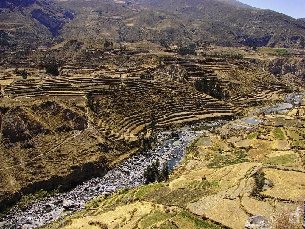 Andenes preincas del valle del Colca