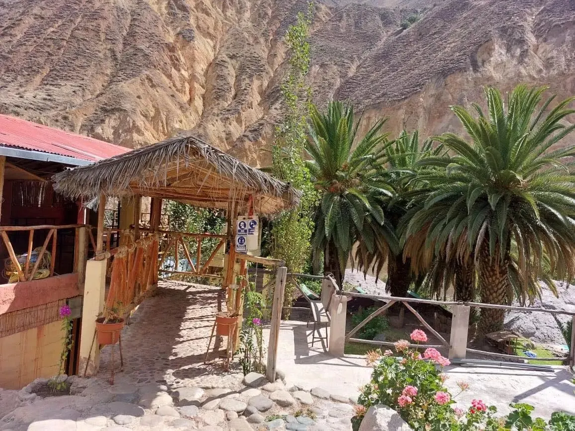 Oasis de Sangalle en el fondo del cañón